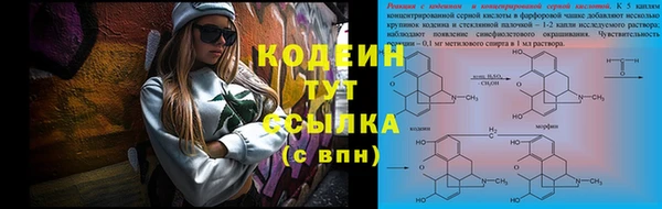 2c-b Инта