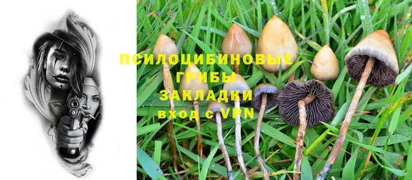 герыч Зеленодольск
