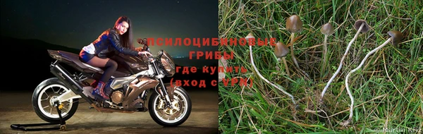 герыч Зеленодольск