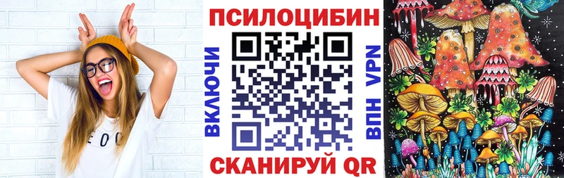 Купить  Мариинский Посад  Псилоцибиновые грибы Psilocybine cubensis 