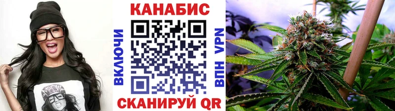 Купить закладки  Мариинский Посад  Каннабис Amnesia 